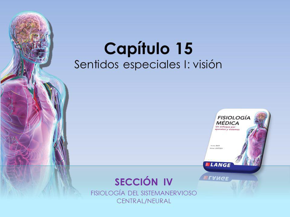 SECCIÓN IV FISIOLOGÍA DEL SISTEMANERVIOSO CENTRAL/NEURAL