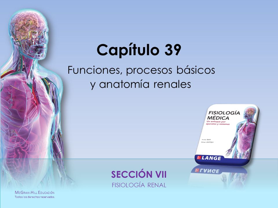 Capítulo 39 Funciones, procesos básicos y anatomía renales