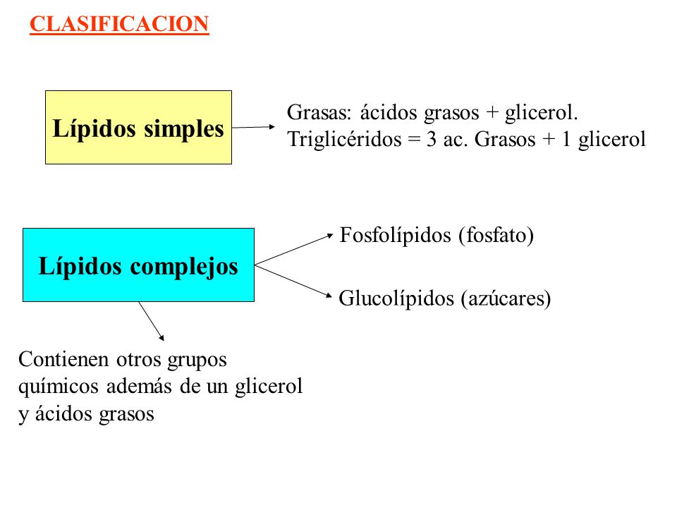 Lípidos simples Lípidos complejos