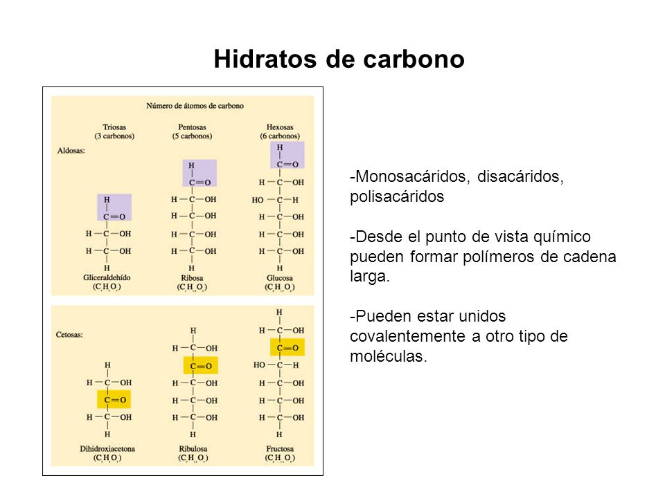 Hidratos de carbono Monosacáridos, disacáridos, polisacáridos