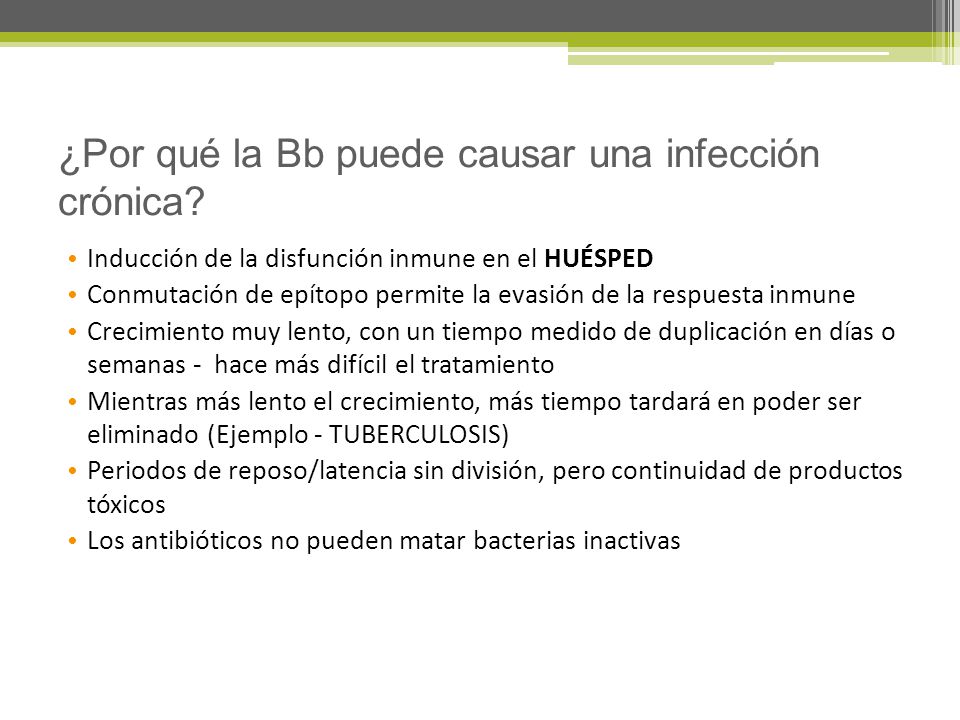 ¿Por qué la Bb puede causar una infección crónica