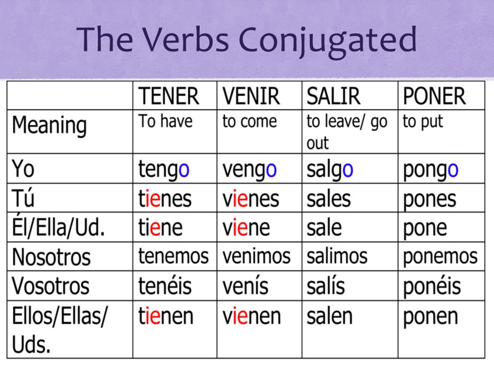 The Verbs Conjugated