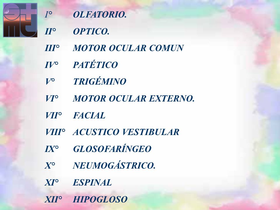 I° OLFATORIO. II° OPTICO. III° MOTOR OCULAR COMUN. IV° PATÉTICO. V° TRIGÉMINO. VI° MOTOR OCULAR EXTERNO.