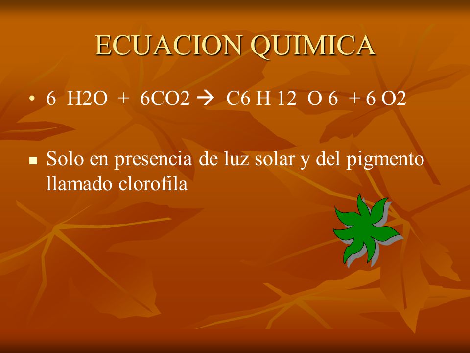 ECUACION QUIMICA 6 H2O + 6CO2  C6 H 12 O O2