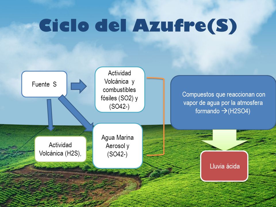Ciclo del Azufre(S) Actividad Volcánica y combustibles fósiles (SO2) y (SO42-) Fuente S.