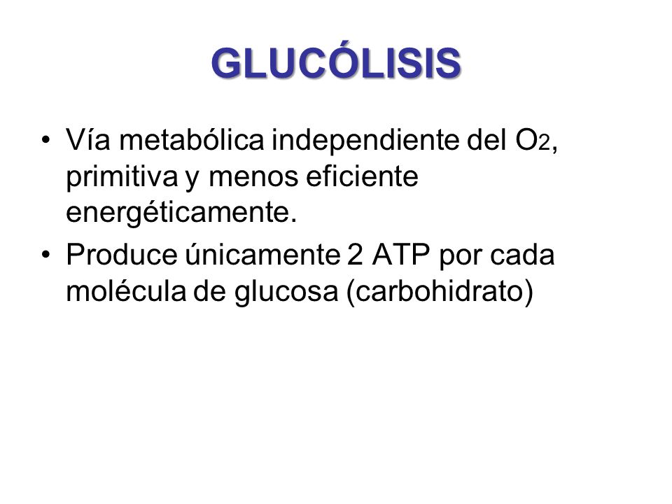 GLUCÓLISIS Vía metabólica independiente del O2, primitiva y menos eficiente energéticamente.