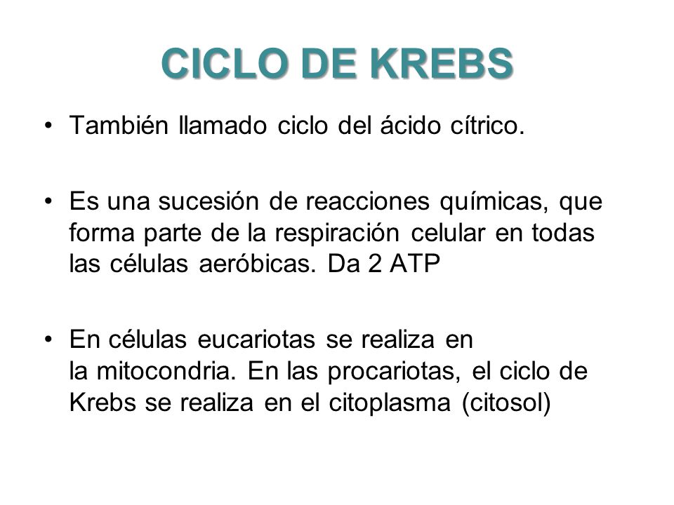 CICLO DE KREBS También llamado ciclo del ácido cítrico.