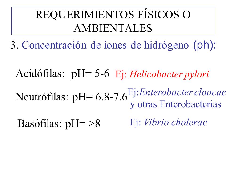 REQUERIMIENTOS FÍSICOS O AMBIENTALES