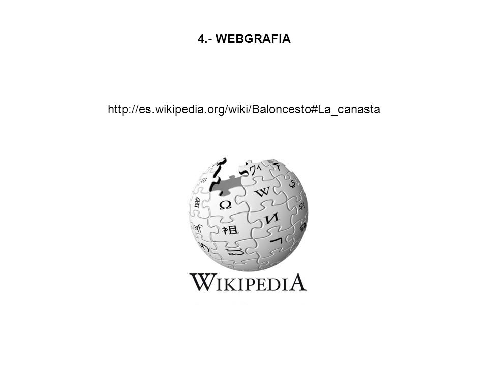 4.- WEBGRAFIA