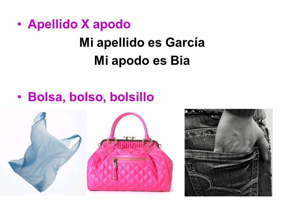 Apellido X apodo Mi apellido es García Mi apodo es Bia Bolsa, bolso, bolsillo