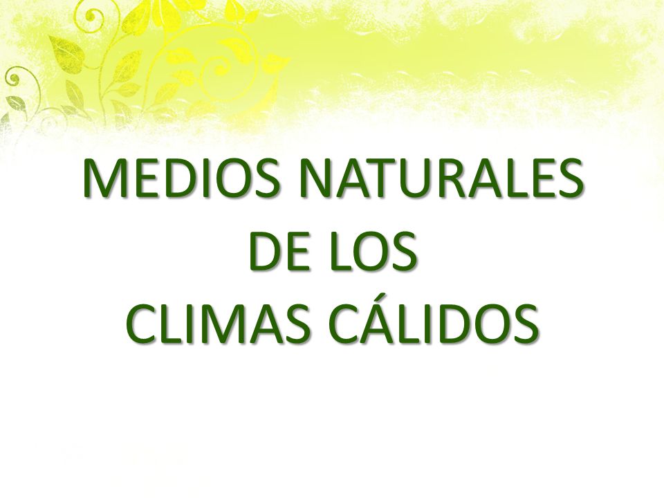 MEDIOS NATURALES DE LOS CLIMAS CÁLIDOS