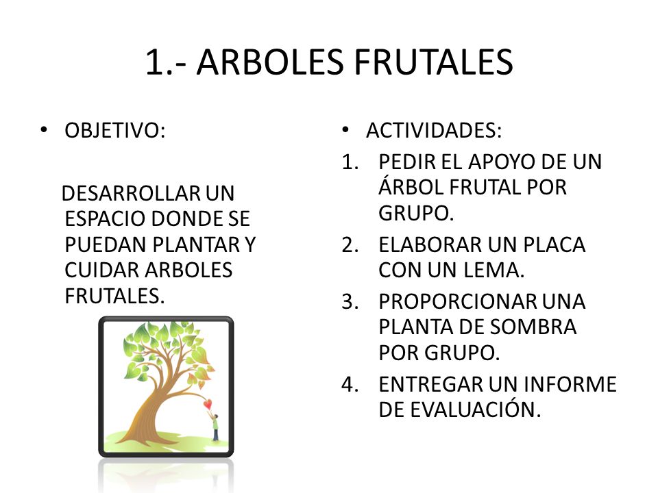 1.- ARBOLES FRUTALES OBJETIVO: