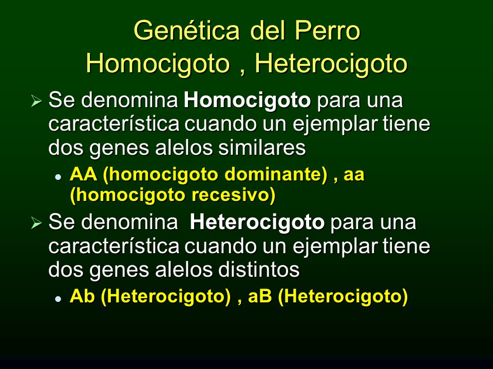 Genética del Perro Homocigoto , Heterocigoto