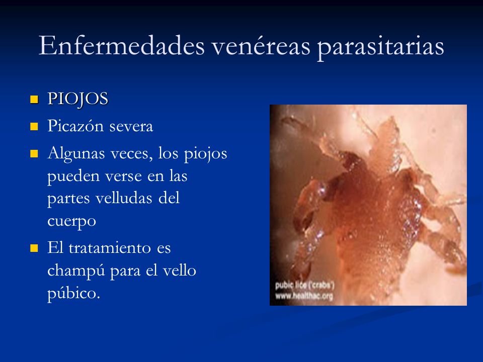 Enfermedades venéreas parasitarias