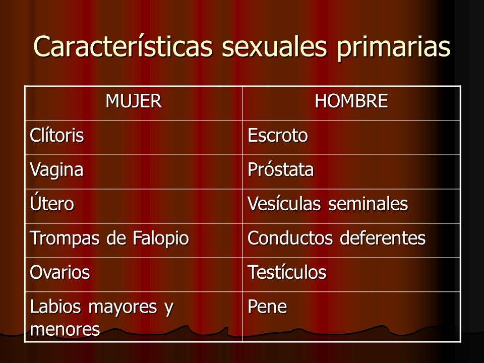 Características sexuales primarias