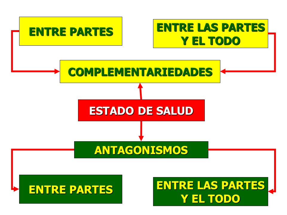 ENTRE PARTES ENTRE LAS PARTES. Y EL TODO. COMPLEMENTARIEDADES. ESTADO DE SALUD. ANTAGONISMOS. ENTRE PARTES.
