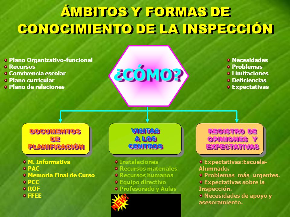 ¿CÓMO ÁMBITOS Y FORMAS DE CONOCIMIENTO DE LA INSPECCIÓN DOCUMENTOS DE
