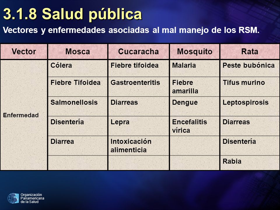 3.1.8 Salud pública Vectores y enfermedades asociadas al mal manejo de los RSM. Vector. Mosca. Cucaracha.