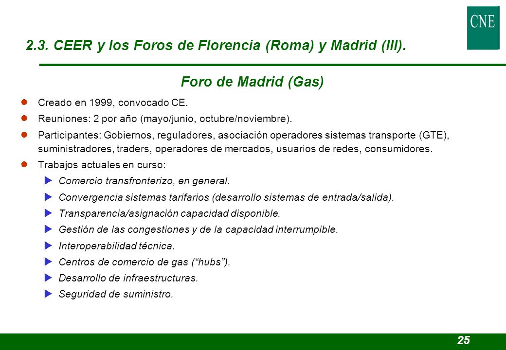 2.3. CEER y los Foros de Florencia (Roma) y Madrid (III).