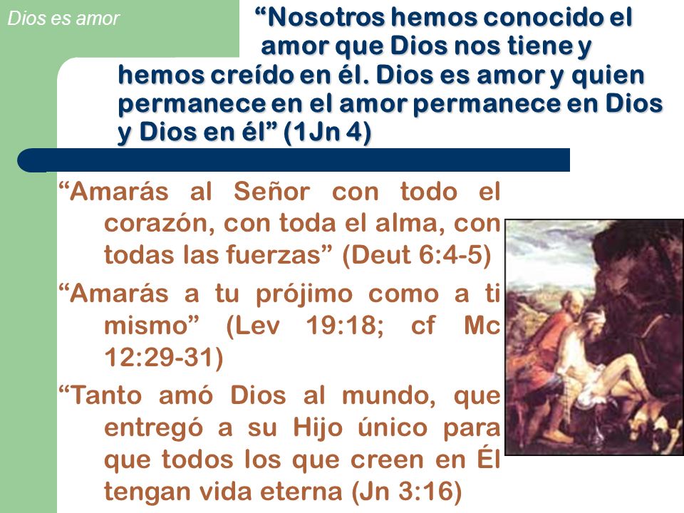 Nosotros hemos conocido el