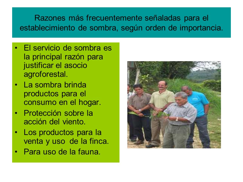 Razones más frecuentemente señaladas para el establecimiento de sombra, según orden de importancia.