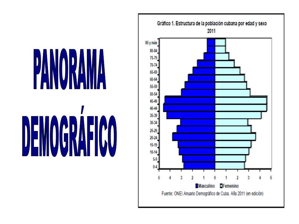 PANORAMA DEMOGRÁFICO