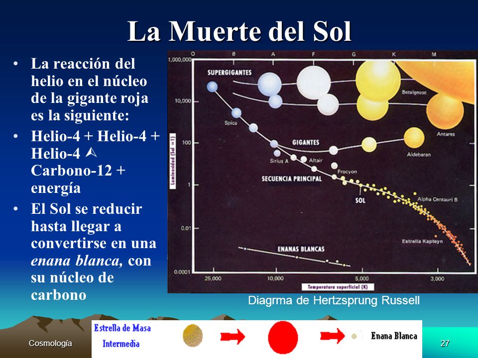 La Muerte del Sol La reacción del helio en el núcleo de la gigante roja es la siguiente: Helio-4 + Helio-4 + Helio-4  Carbono-12 + energía.