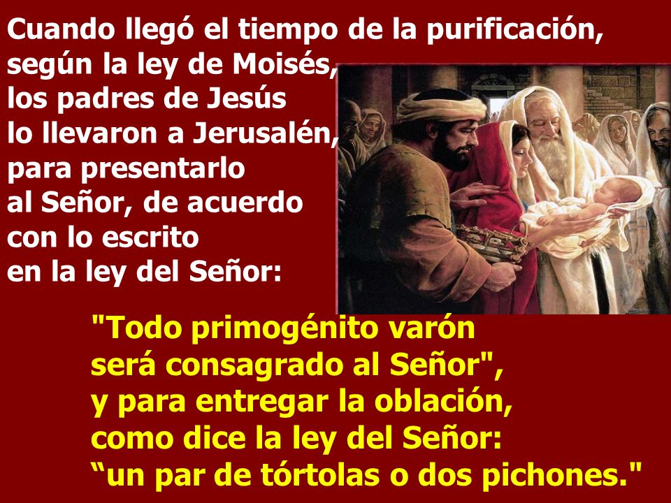 Cuando llegó el tiempo de la purificación, según la ley de Moisés, los padres de Jesús lo llevaron a Jerusalén, para presentarlo al Señor, de acuerdo con lo escrito en la ley del Señor: