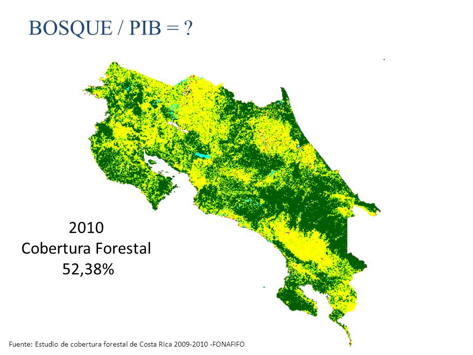 BOSQUE / PIB = 2010 Cobertura Forestal 52,38%