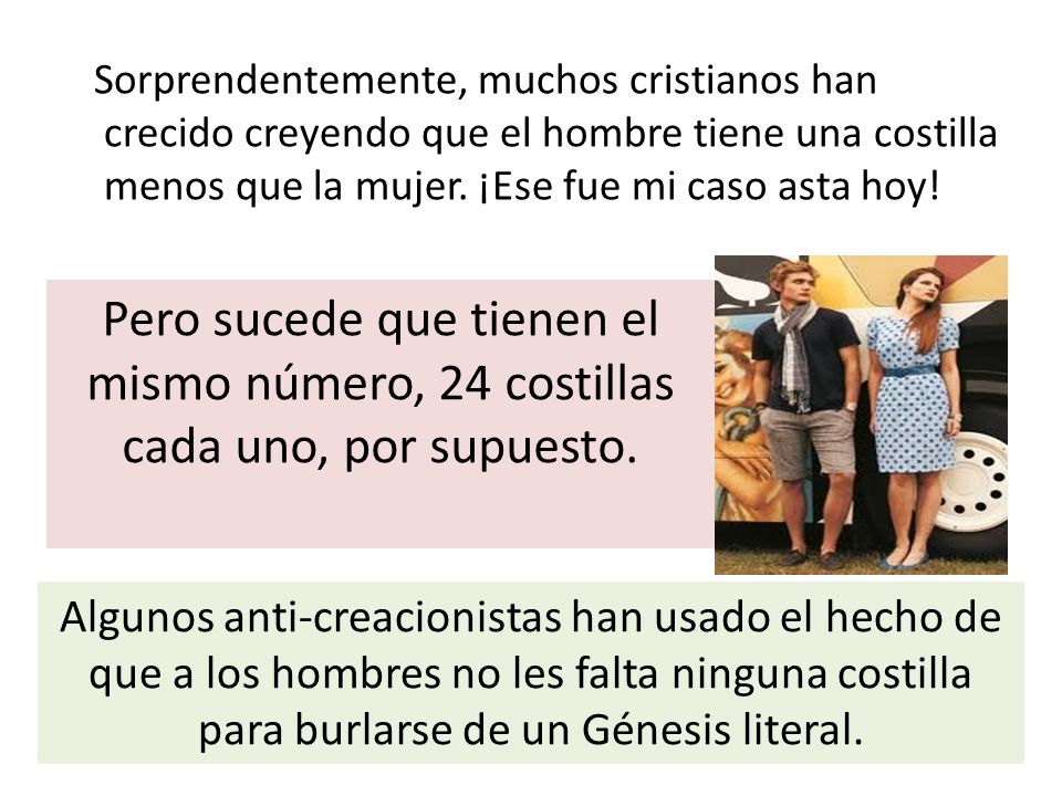 Sorprendentemente, muchos cristianos han crecido creyendo que el hombre tiene una costilla menos que la mujer. ¡Ese fue mi caso asta hoy!
