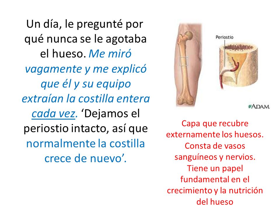 Un día, le pregunté por qué nunca se le agotaba el hueso
