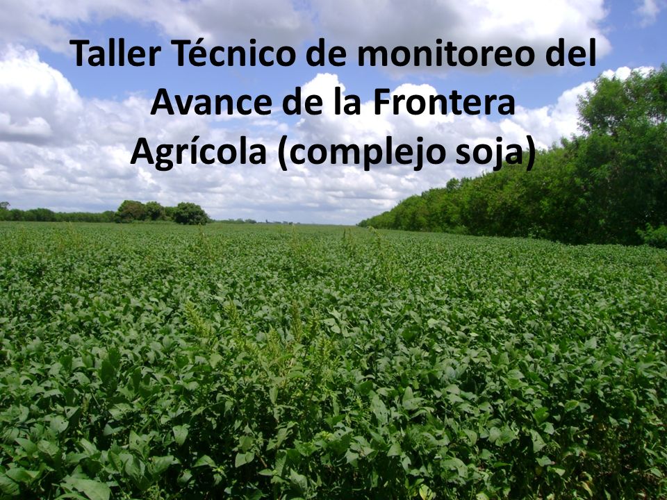 Taller Técnico de monitoreo del Avance de la Frontera Agrícola (complejo soja)