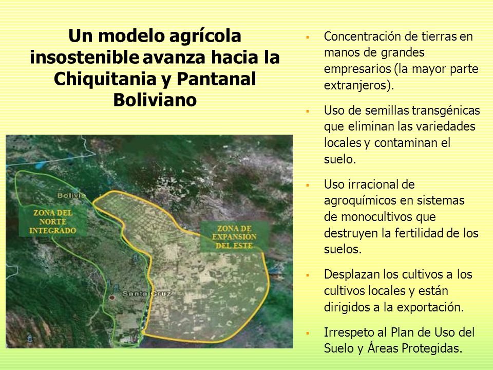 Un modelo agrícola insostenible avanza hacia la Chiquitania y Pantanal Boliviano