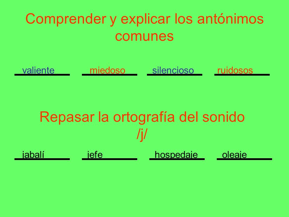Comprender y explicar los antónimos comunes