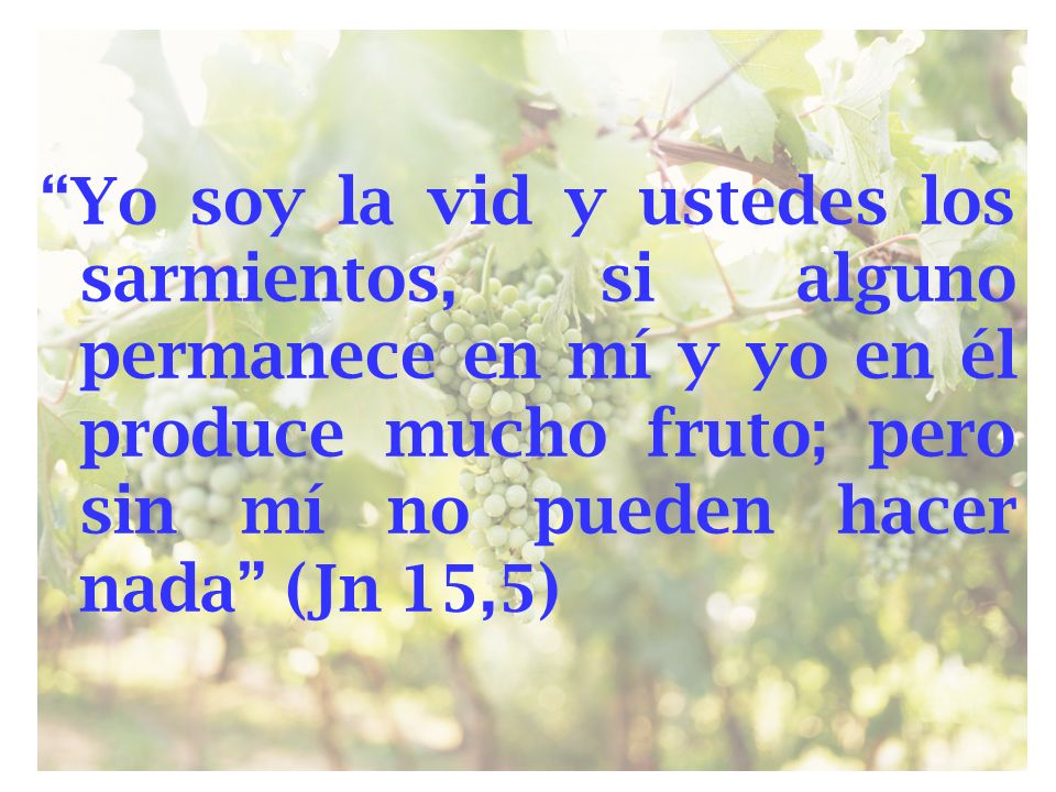 Yo soy la vid y ustedes los sarmientos, si alguno permanece en mí y yo en él produce mucho fruto; pero sin mí no pueden hacer nada (Jn 15,5)