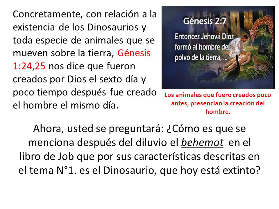 Concretamente, con relación a la existencia de los Dinosaurios y toda especie de animales que se mueven sobre la tierra, Génesis 1:24,25 nos dice que fueron creados por Dios el sexto día y poco tiempo después fue creado el hombre el mismo día.