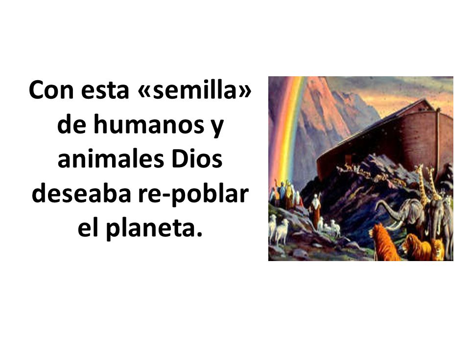 Con esta «semilla» de humanos y animales Dios deseaba re-poblar el planeta.