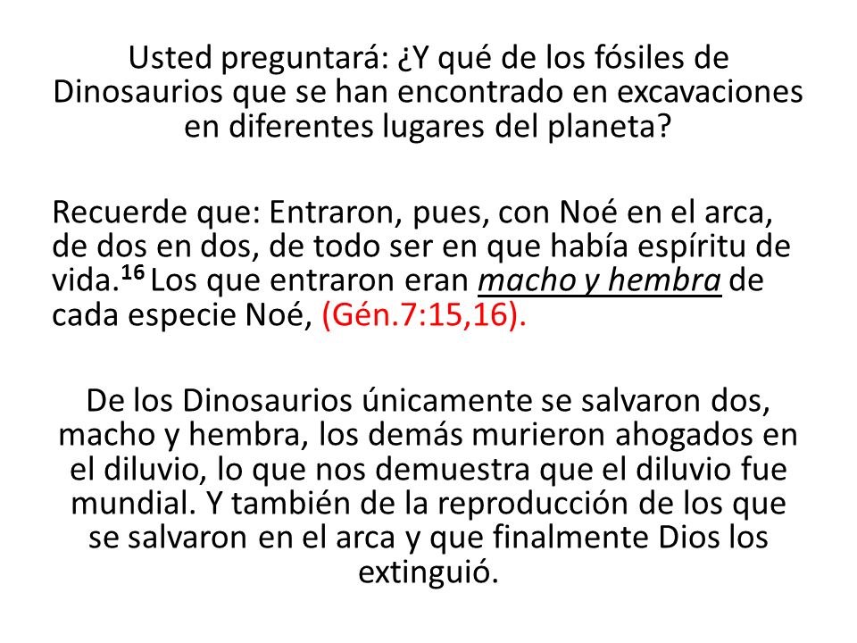 Usted preguntará: ¿Y qué de los fósiles de Dinosaurios que se han encontrado en excavaciones en diferentes lugares del planeta.