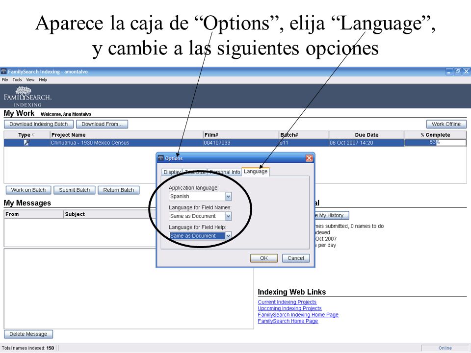 Aparece la caja de Options , elija Language , y cambie a las siguientes opciones