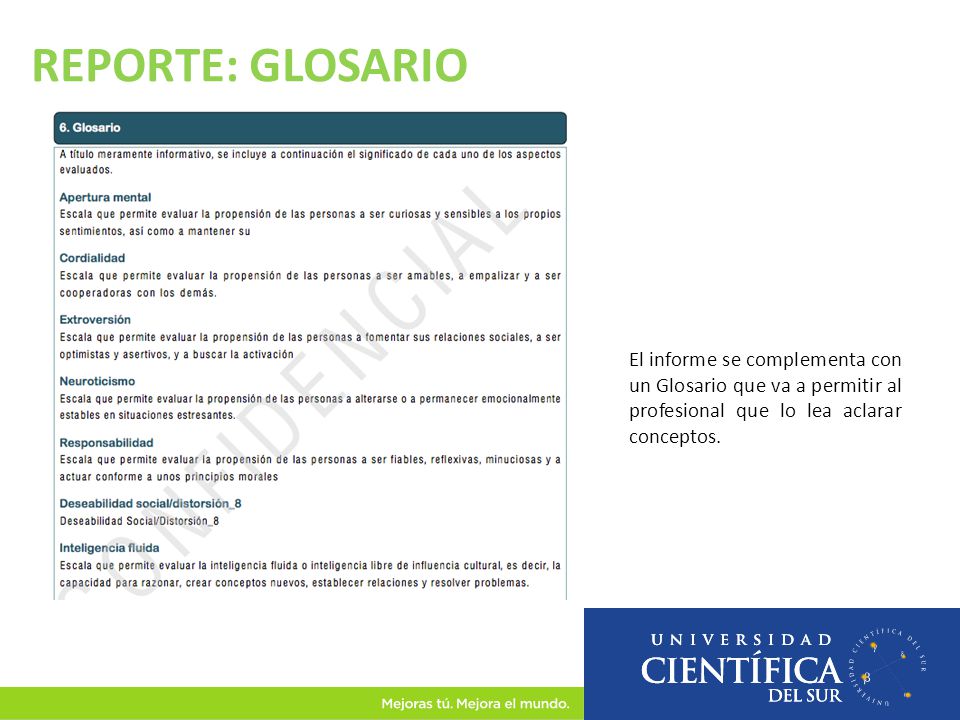 REPORTE: GLOSARIO El informe se complementa con un Glosario que va a permitir al profesional que lo lea aclarar conceptos.