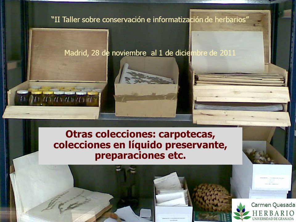 II Taller sobre conservación e informatización de herbarios Madrid, 28 de noviembre al 1 de diciembre de 2011