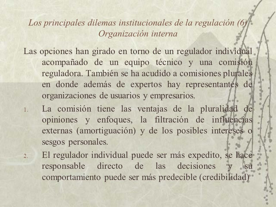 Los principales dilemas institucionales de la regulación (6) Organización interna