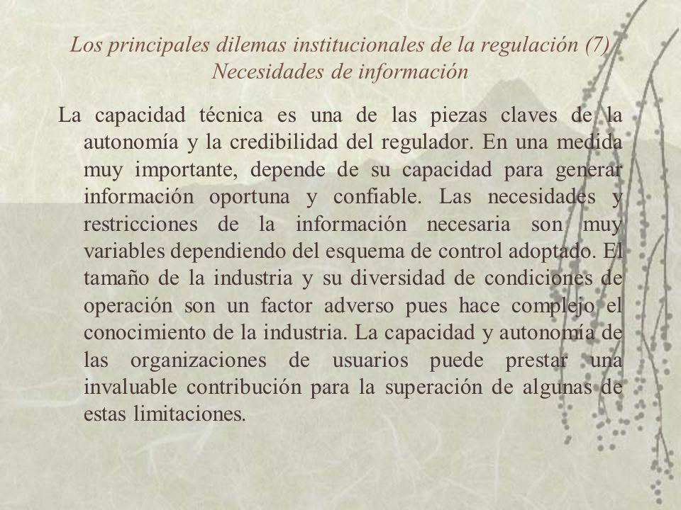 Los principales dilemas institucionales de la regulación (7) Necesidades de información