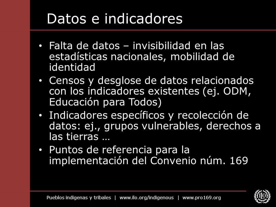 Datos e indicadores Falta de datos – invisibilidad en las estadísticas nacionales, mobilidad de identidad.