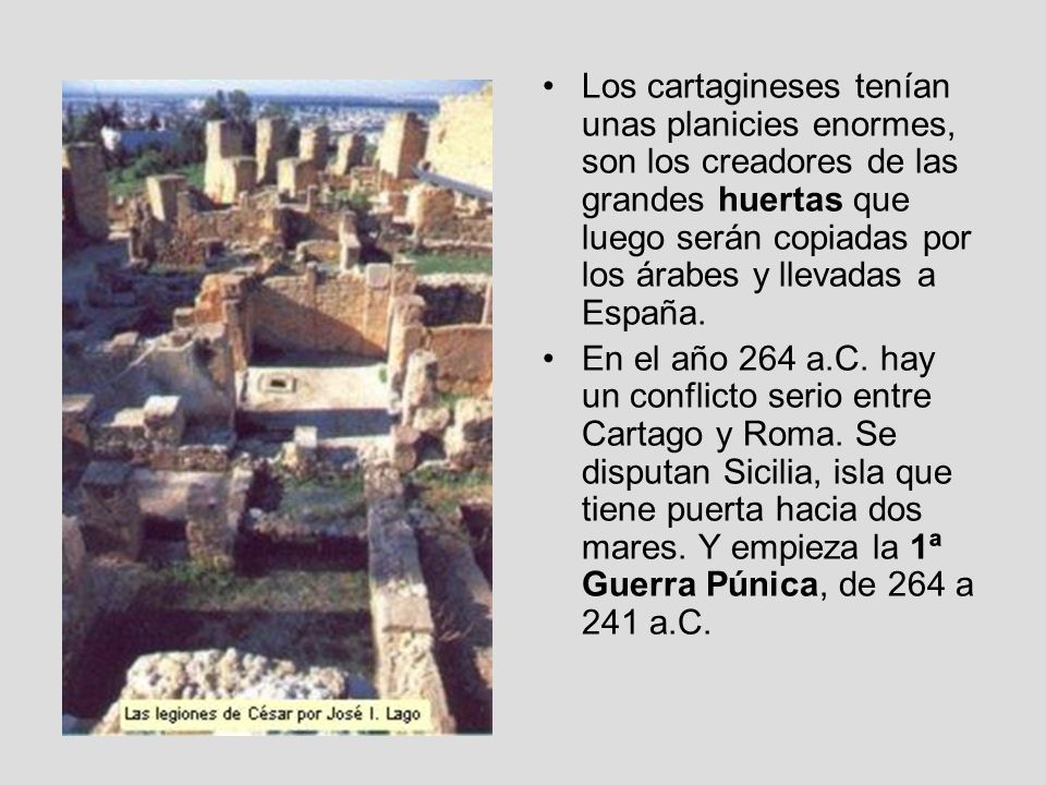 Los cartagineses tenían unas planicies enormes, son los creadores de las grandes huertas que luego serán copiadas por los árabes y llevadas a España.
