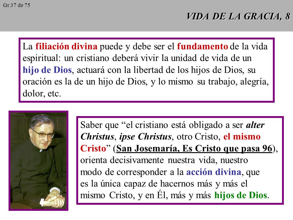 La filiación divina puede y debe ser el fundamento de la vida