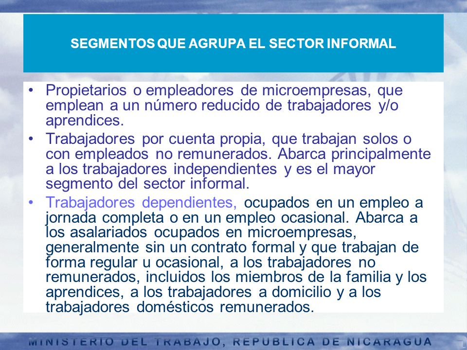 SEGMENTOS QUE AGRUPA EL SECTOR INFORMAL
