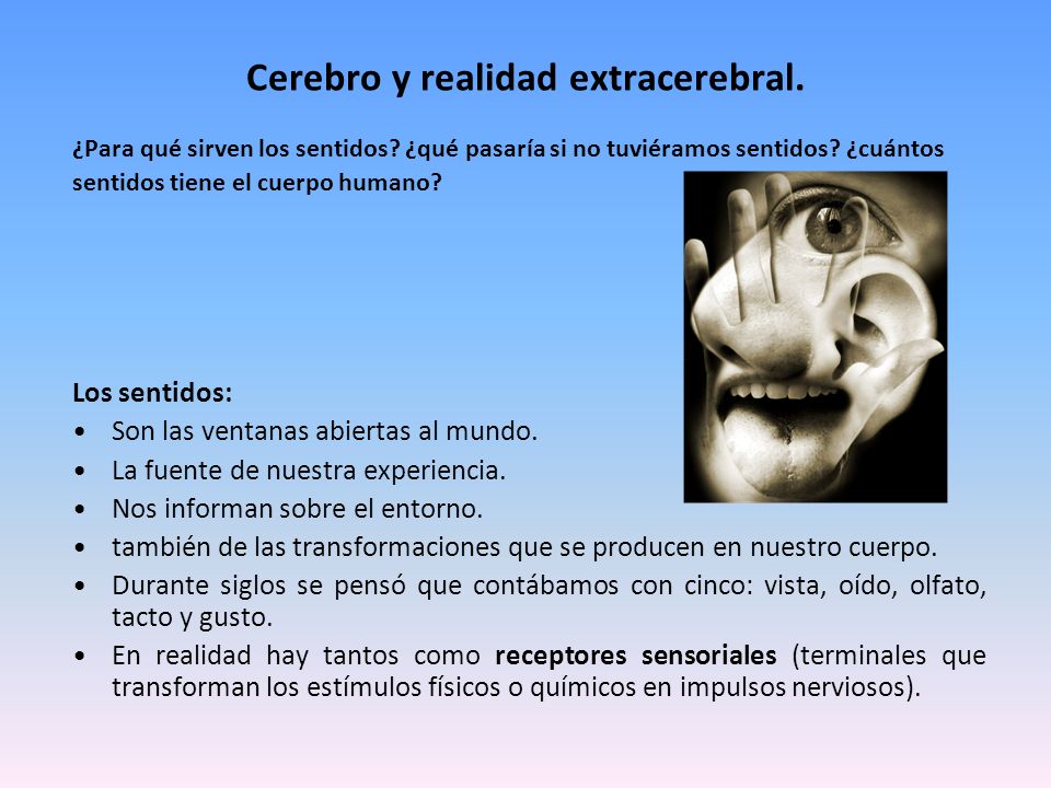 Cerebro y realidad extracerebral.