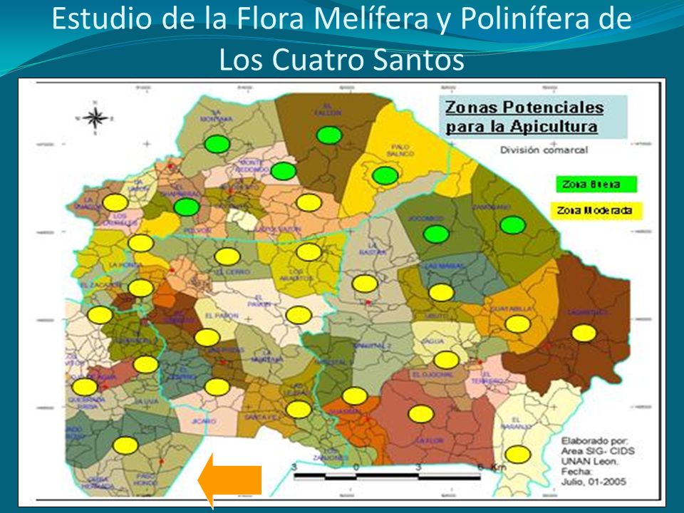 Estudio de la Flora Melífera y Polinífera de Los Cuatro Santos