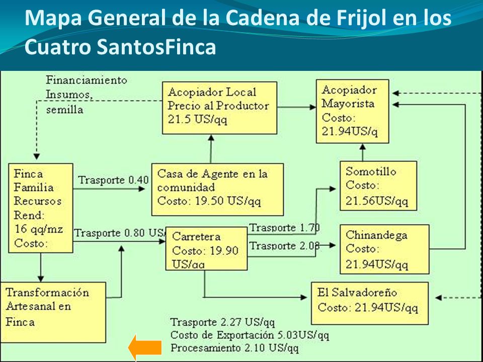 Mapa General de la Cadena de Frijol en los Cuatro SantosFinca